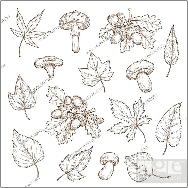 Free Fall Templates Leaves And Acorns