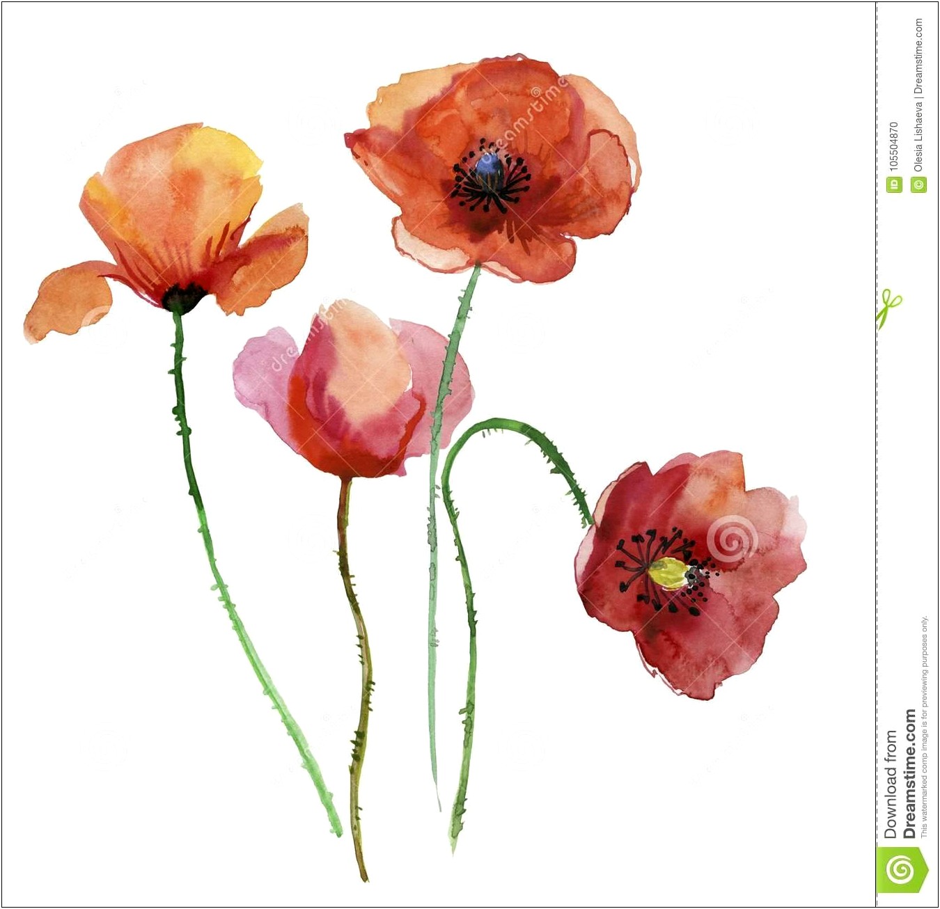Free Floral Stationery Template Poppies Gladiolus