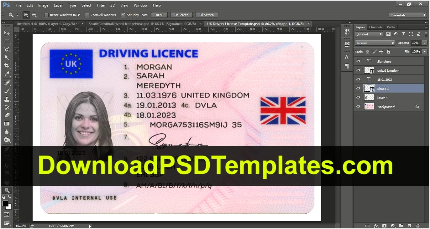 Free Florida Drivers License Template Download