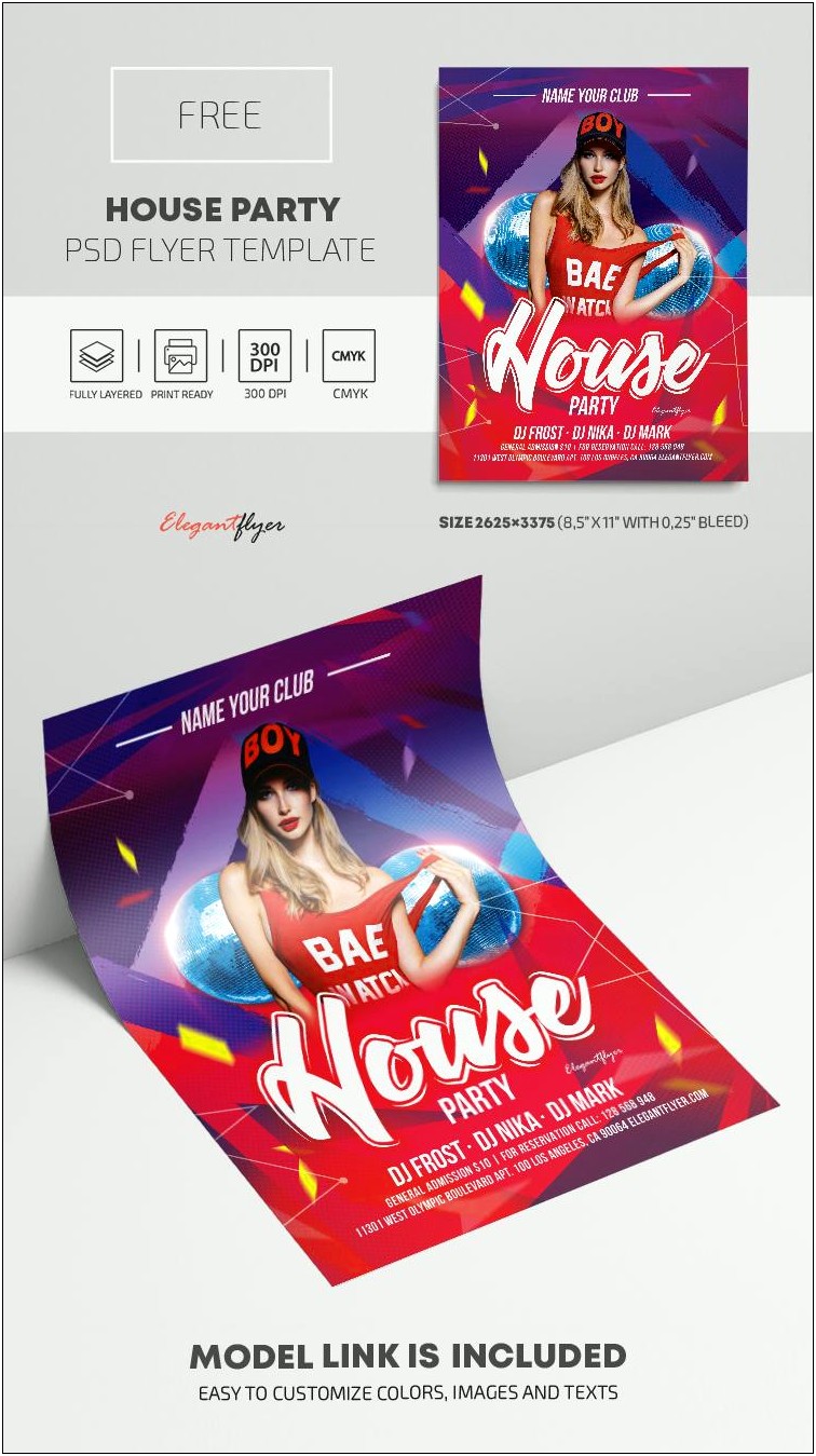 Free High Res Party Flyer Template Psd