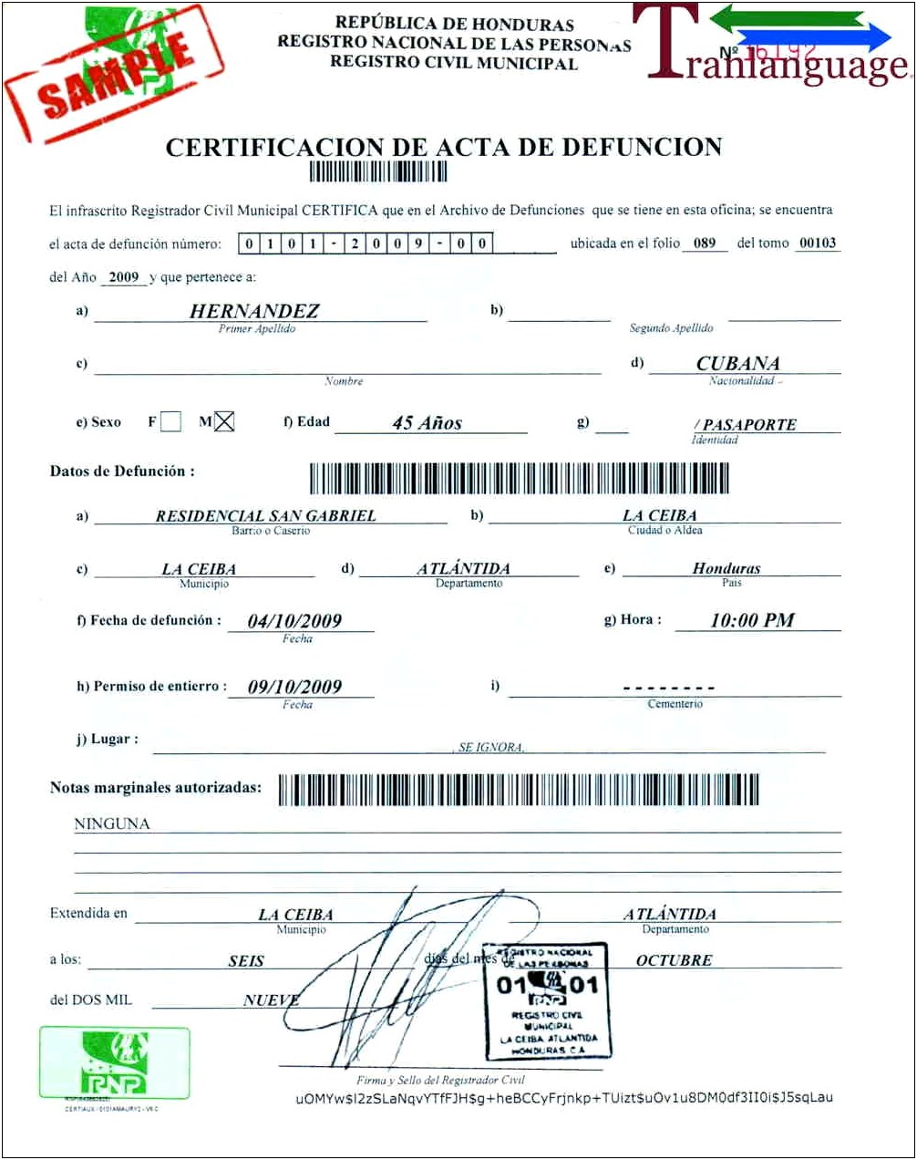 Free Honduran Birth Certificate Translation Template