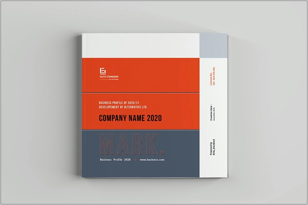 Free Indesign Contemporary Annual Report Templates