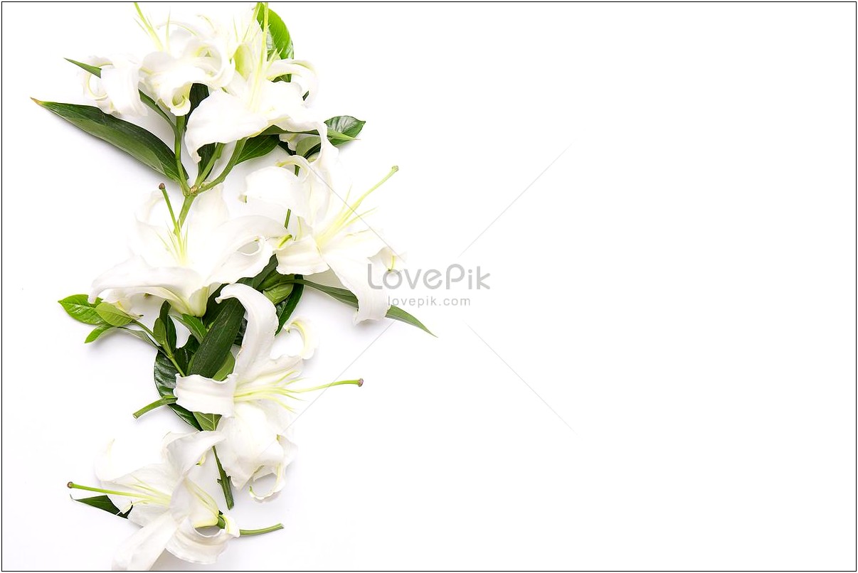 Free Lily Wallpaper Templates For A Funeral