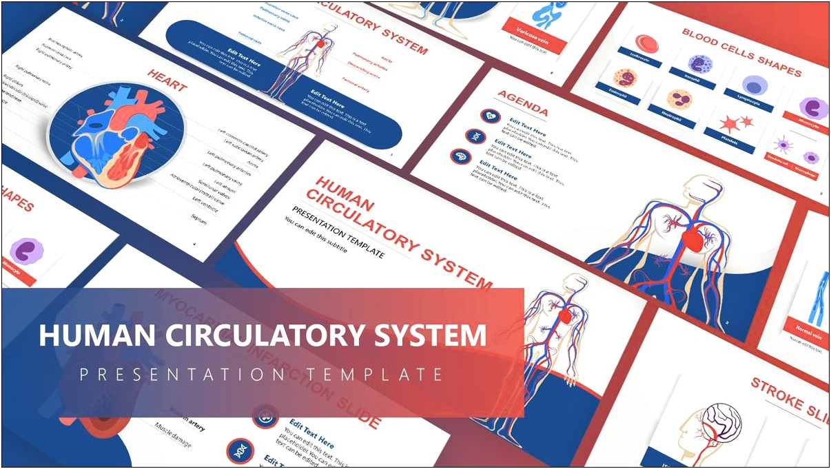 Free Medical Powerpoint Templates Blood Cells