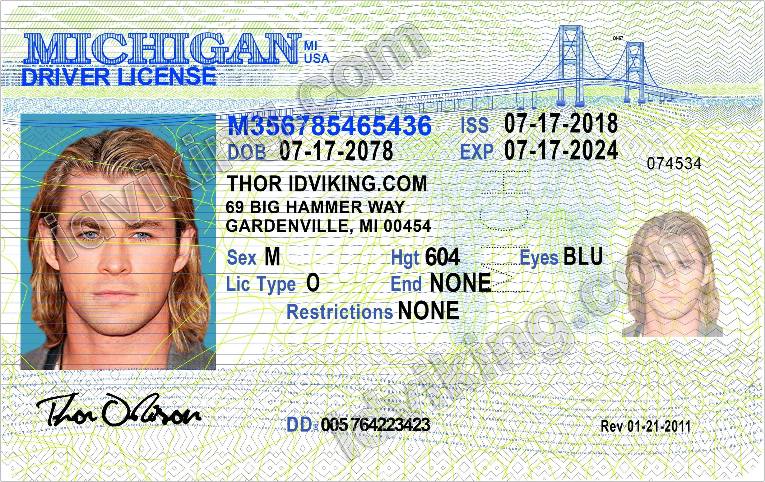 Free Michigan Drivers License Template Download