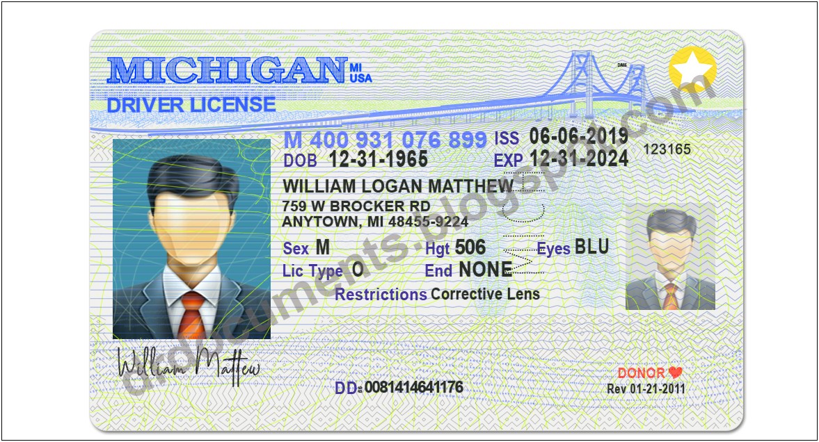 Free Michigan Drivers License Template Psd