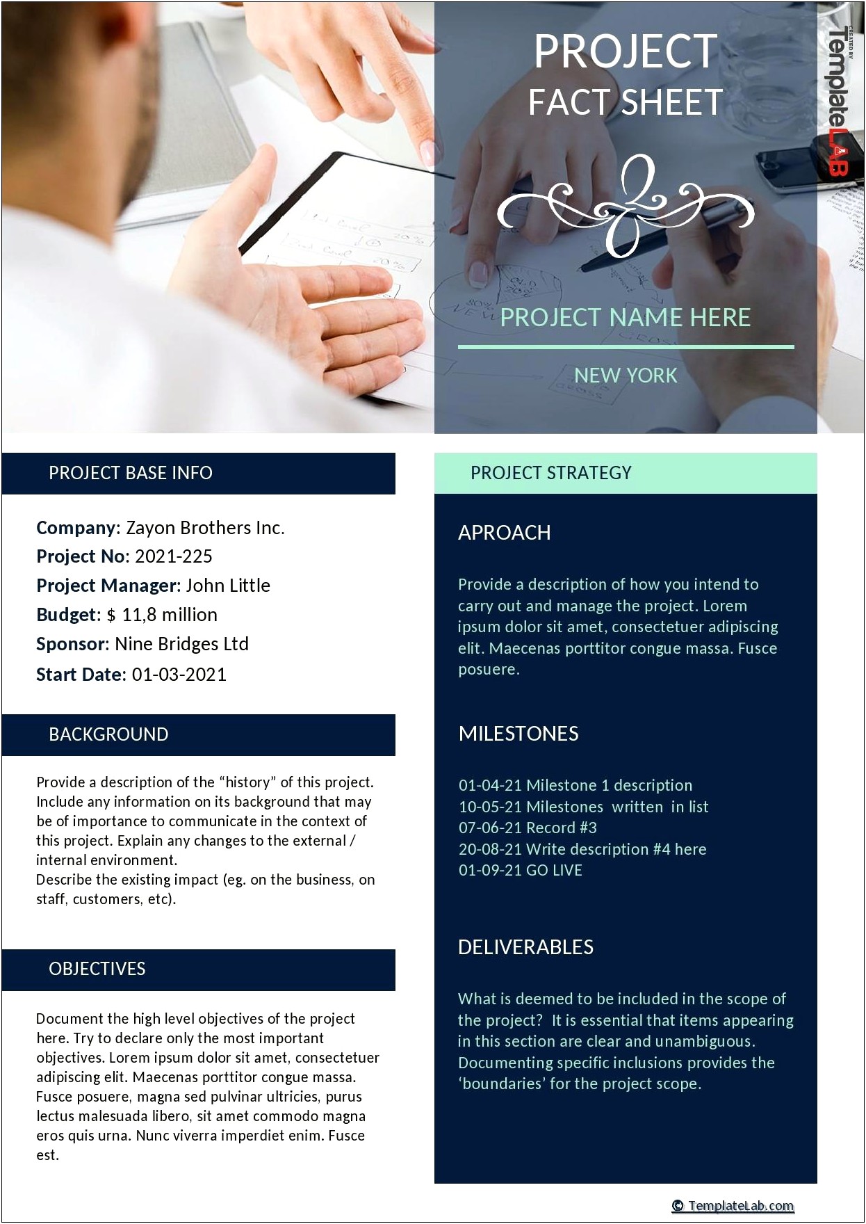 Free Microsoft Template For Fact Sheet Medical