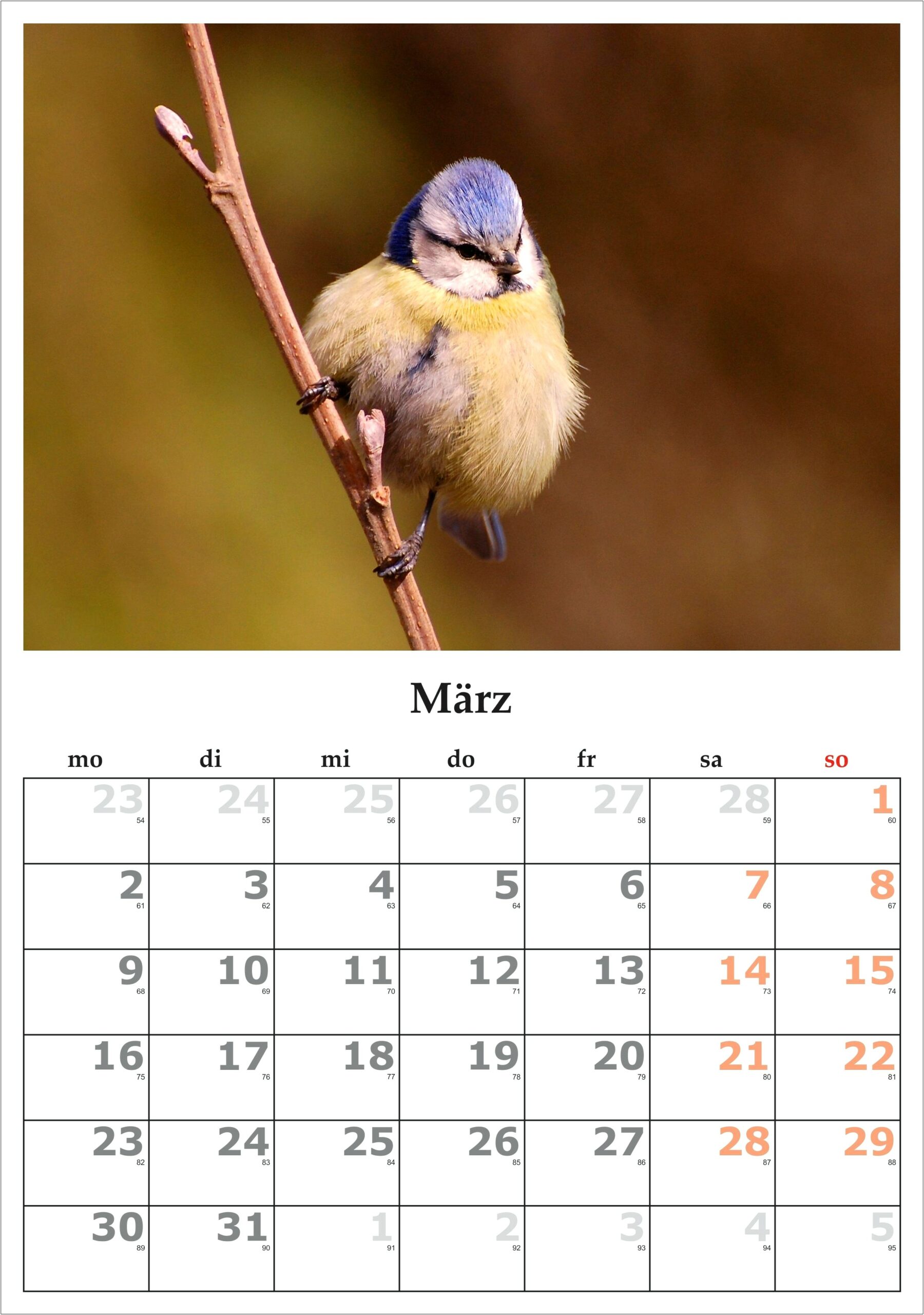 Free Monthly Calendar Template September 2015