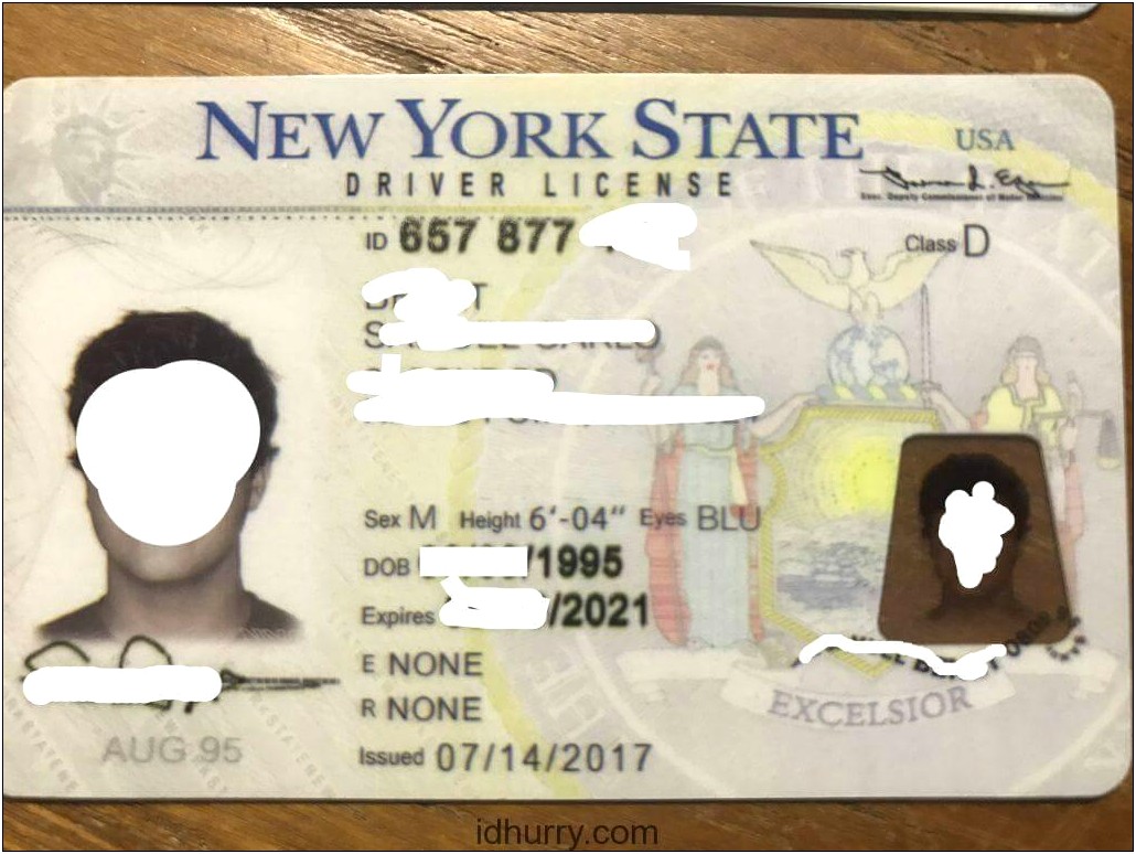 Free New York Drivers License Template