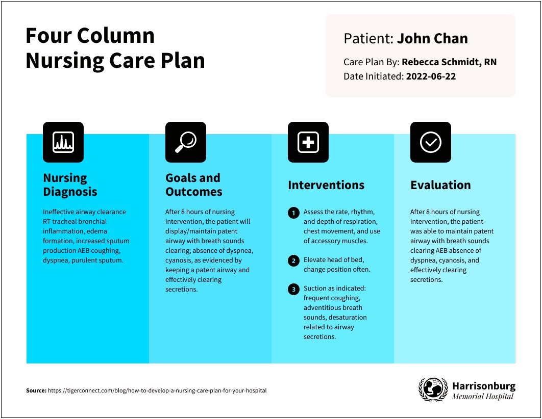 Free Nursing Plan Of Care Template