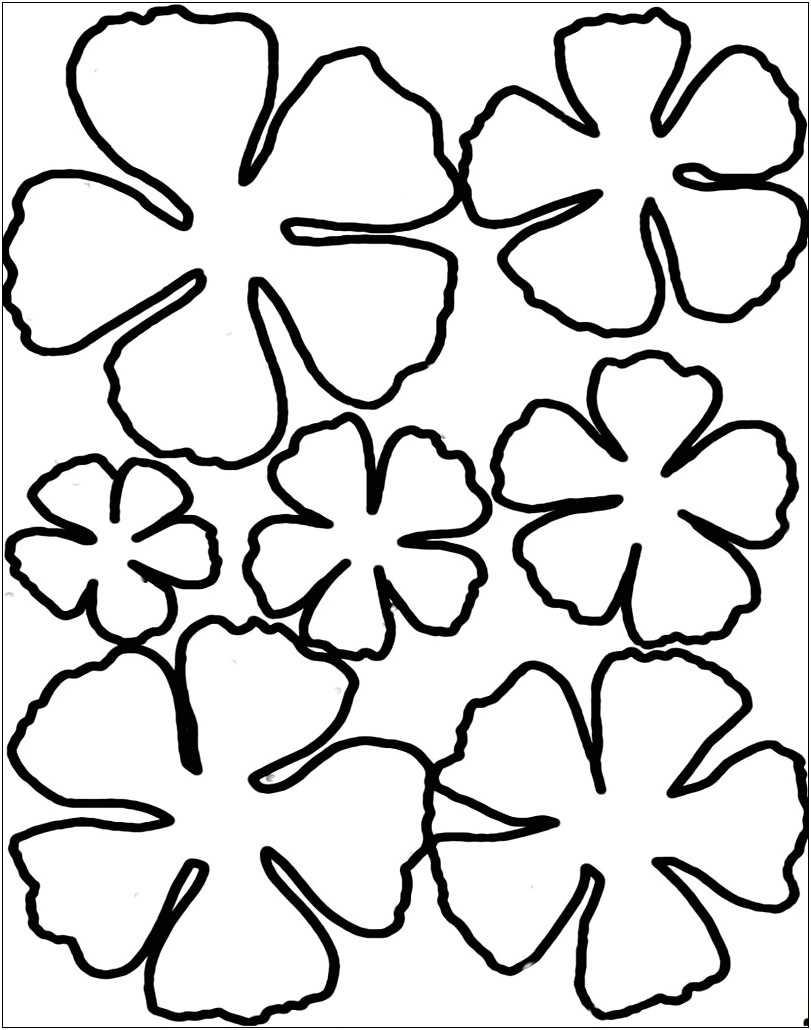 Free Paper Flower Petal Templates Pdf