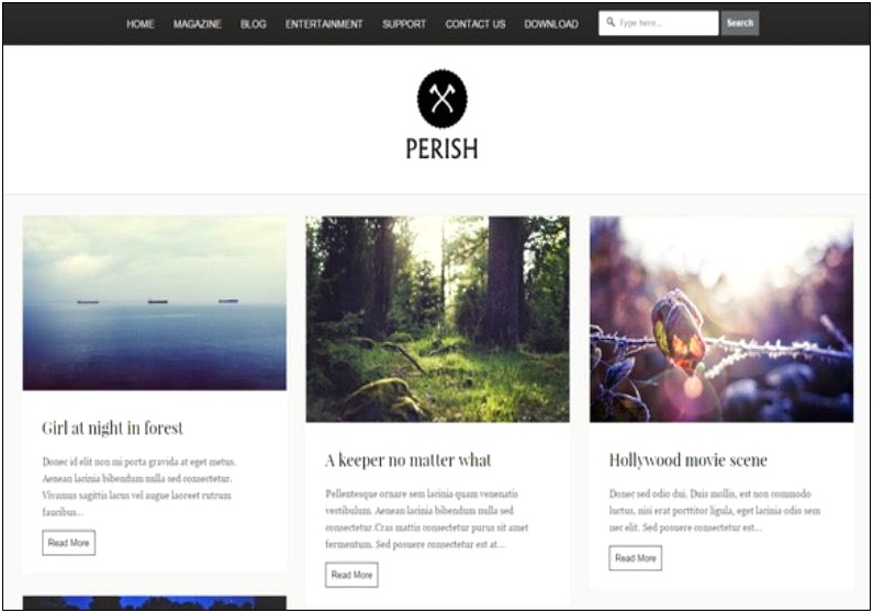 Free Photography Blog Templates For Blogspot