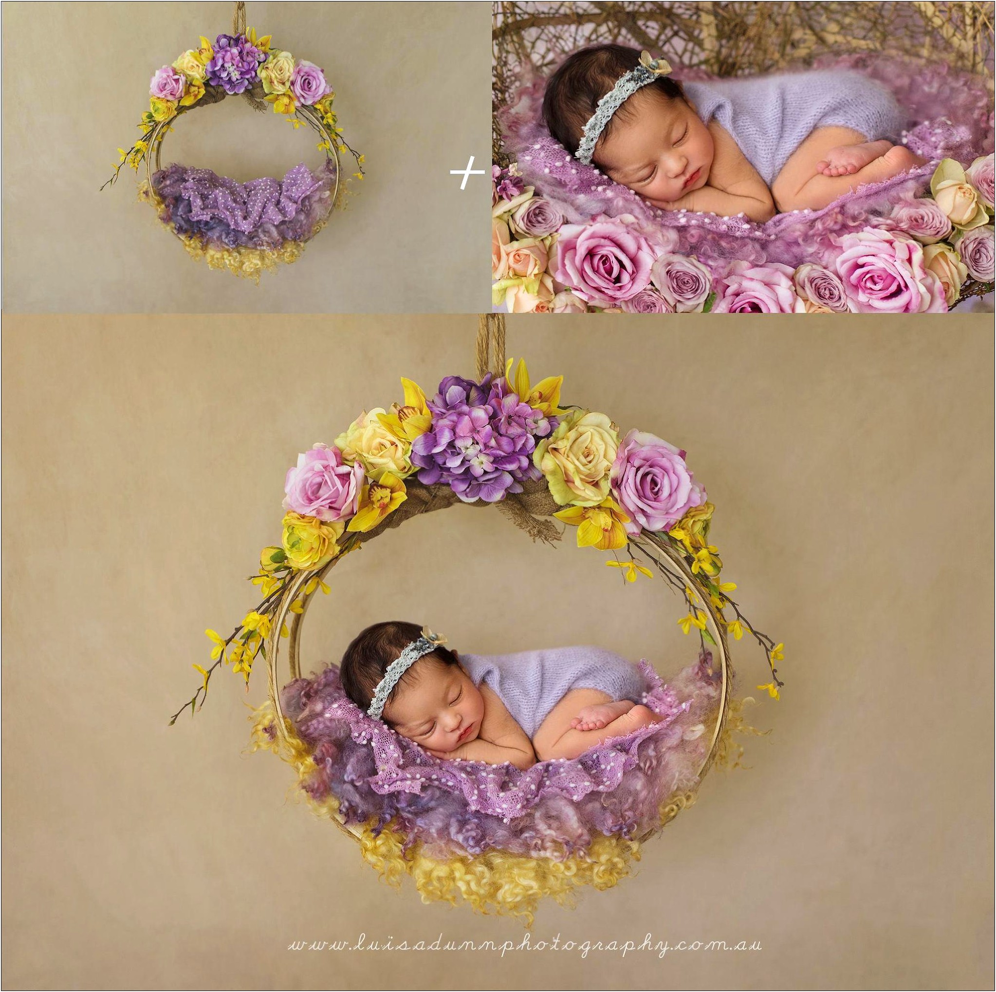 Free Photoshop Templates For Newborn Photography