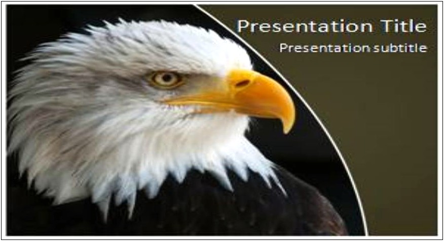 Free Powerpoint Templates Aerial View And Eagle
