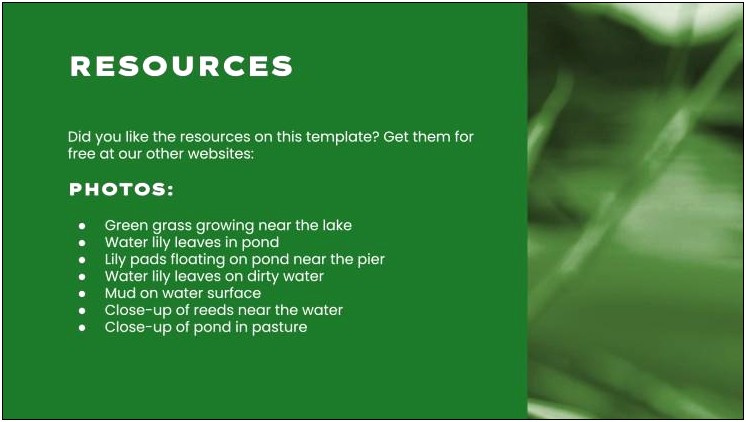 Free Powerpoint Templates For College Presentation About Wetlands