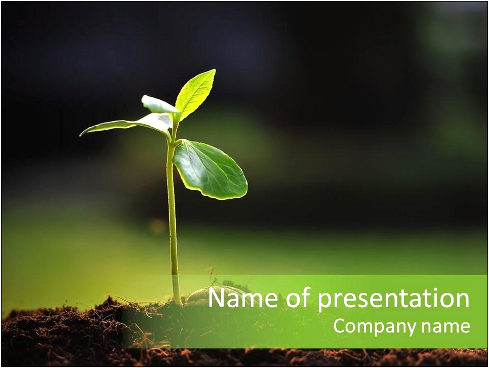 Free Powerpoint Templates Seeds And Plants
