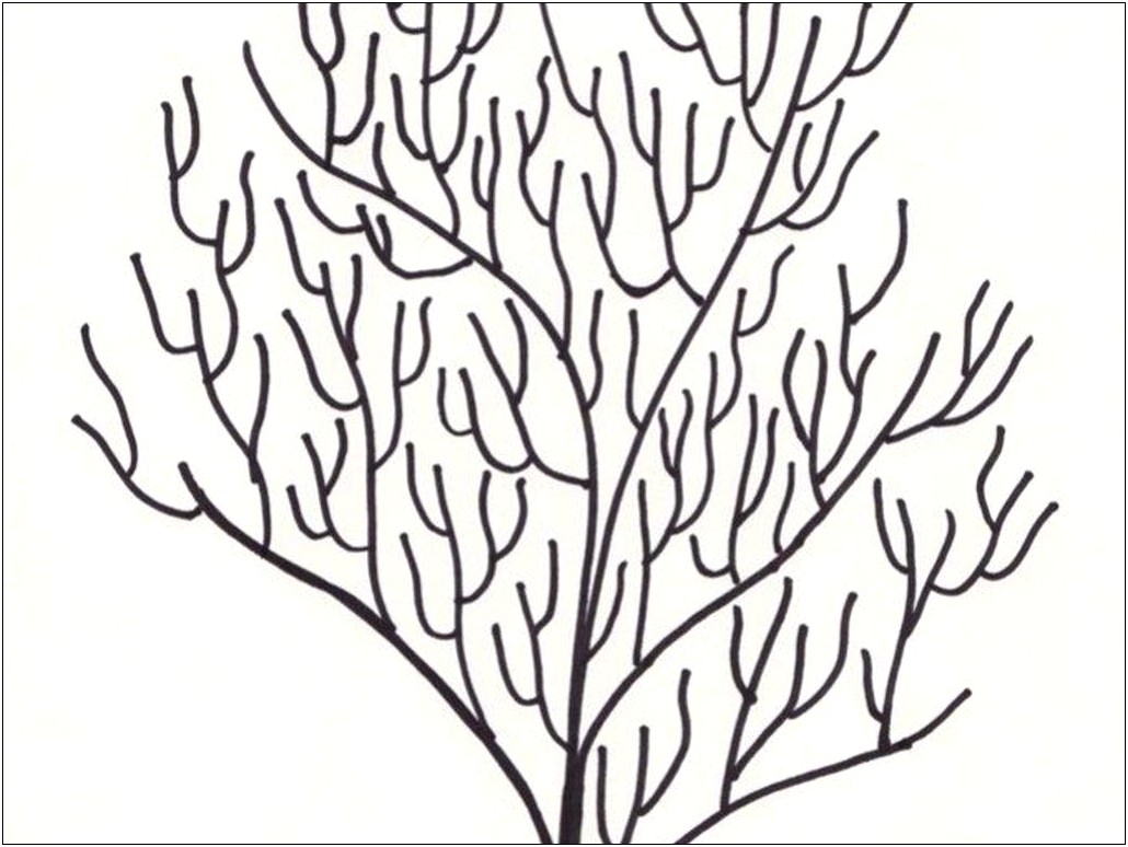 free-printable-branching-coral-fan-outline-template-templates