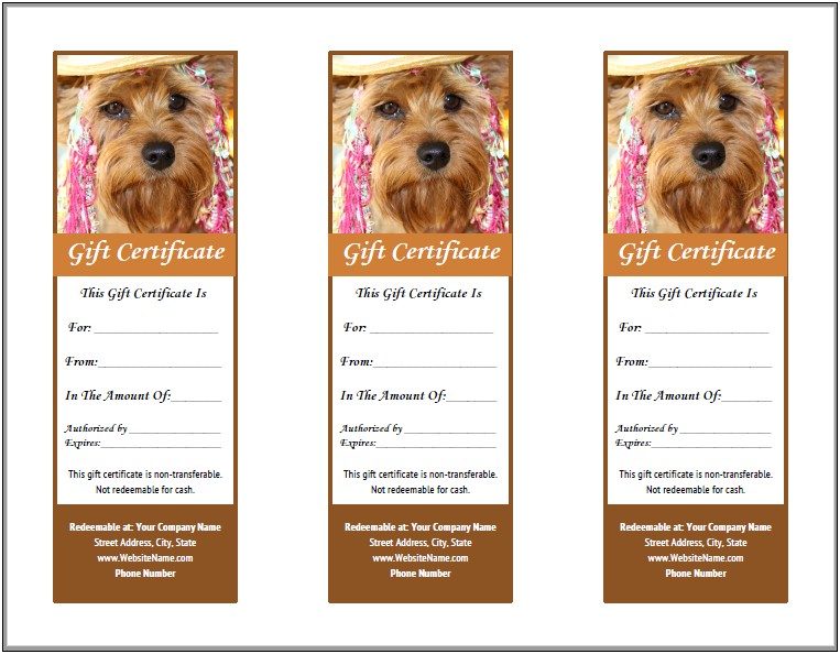 free-dog-grooming-record-card-template-templates-resume-designs