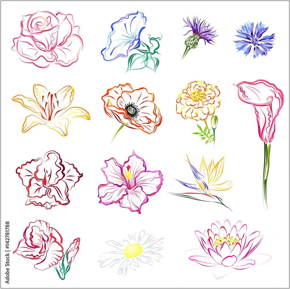 Free Printable Floral Stationery Template Poppies Gladiolus