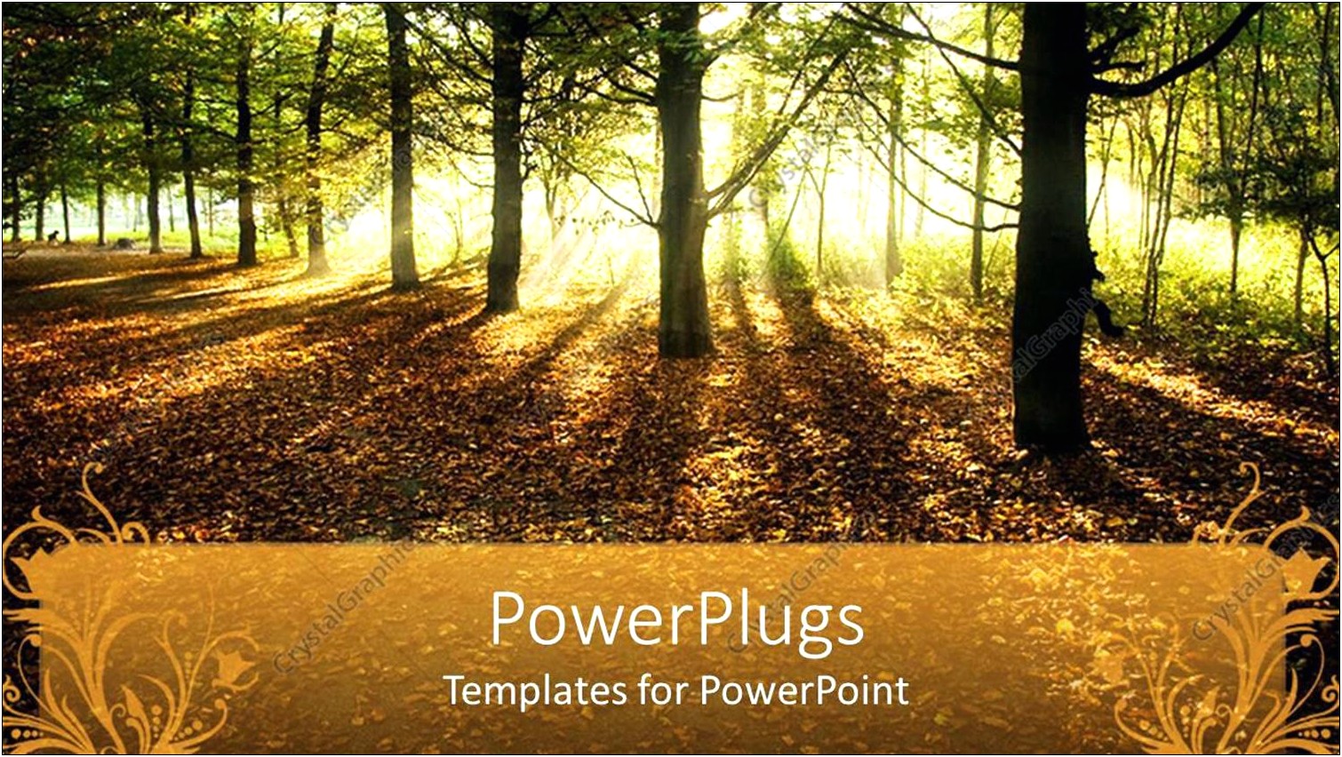 Free Sun Ray Diagram Template Powerpoint