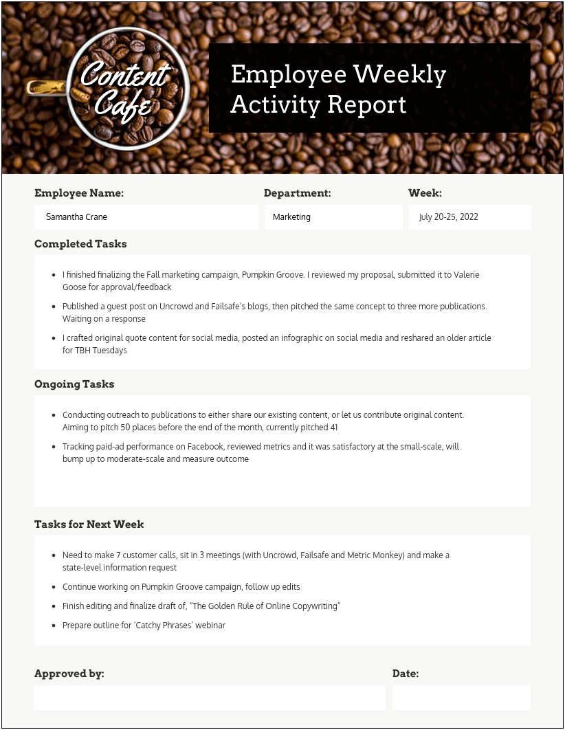 Free Weekly Sales Activity Report Template
