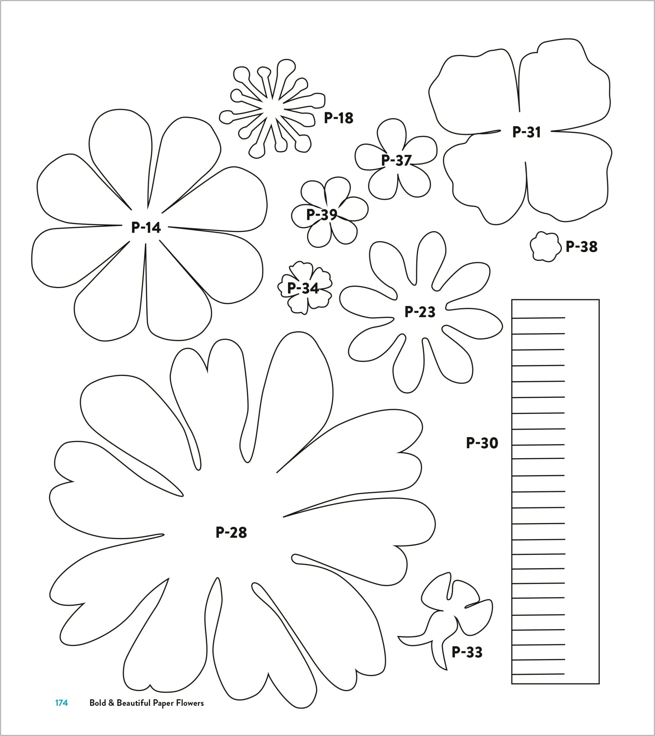 Giant Paper Flower Template Free Download