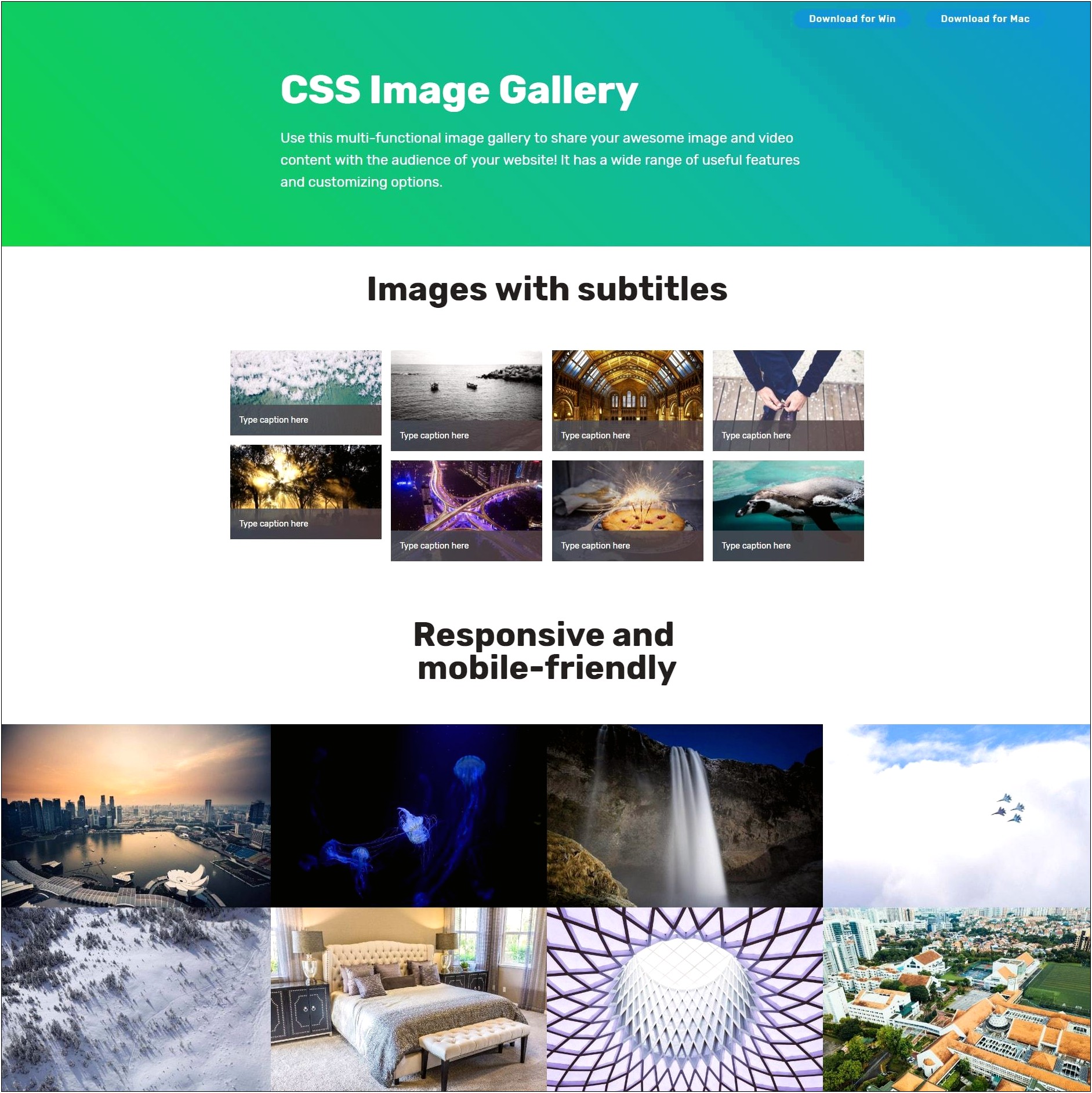 Html Css Photo Gallery Templates Free