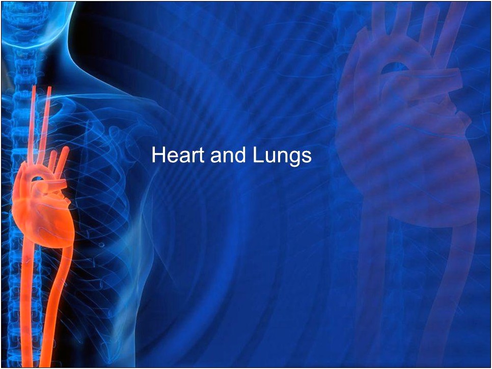 Human Heart Powerpoint Template Free Download
