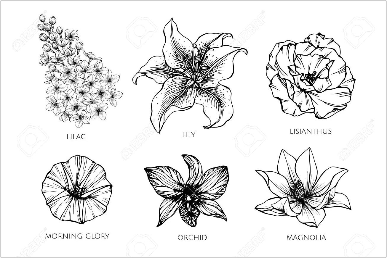 Illustrator Invitation Template Free Black White Succulent