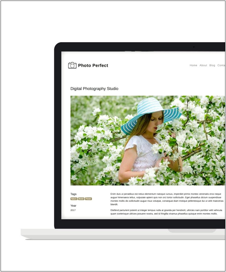 Lenze Portfolio Photography Html Template Free Download