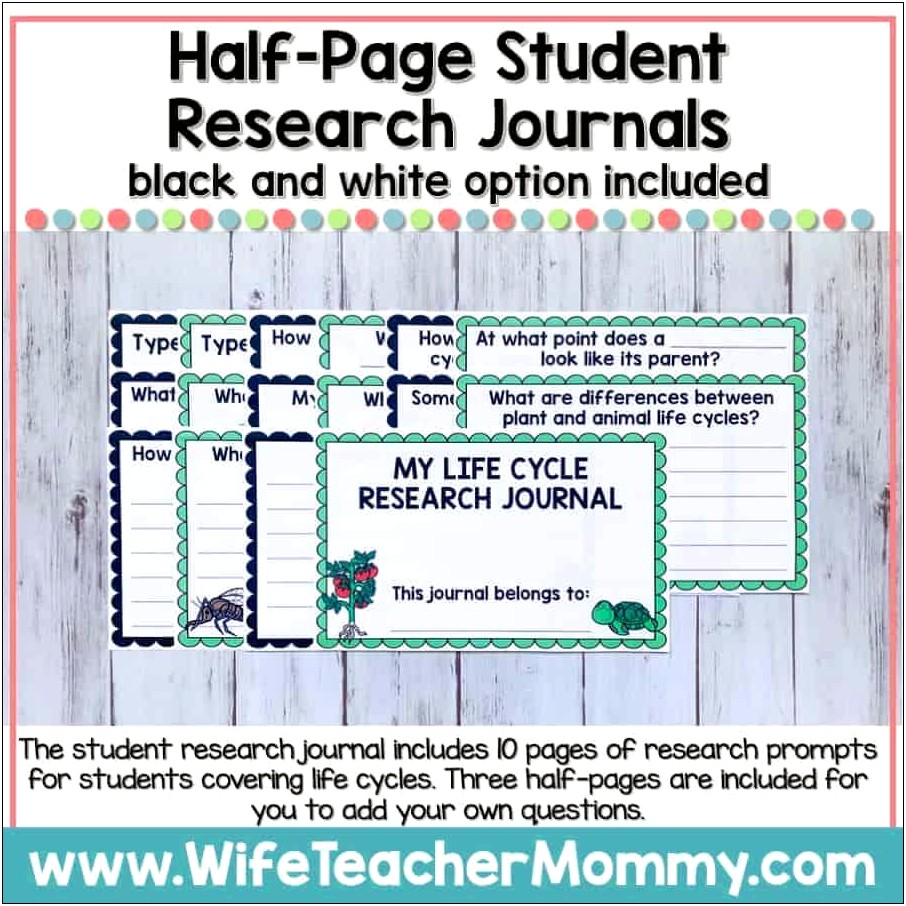 Life Cycle Research Template 3rd Grade Free