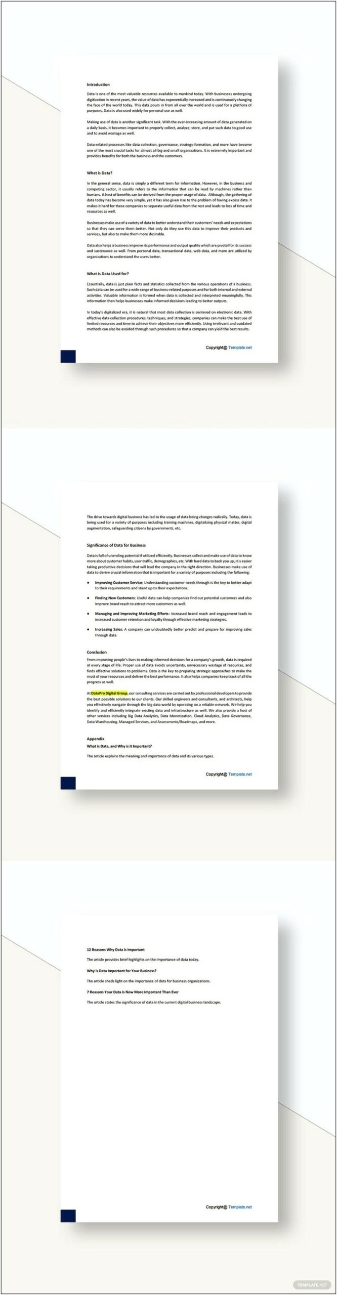 Ms Word Templates Free Company White Paper