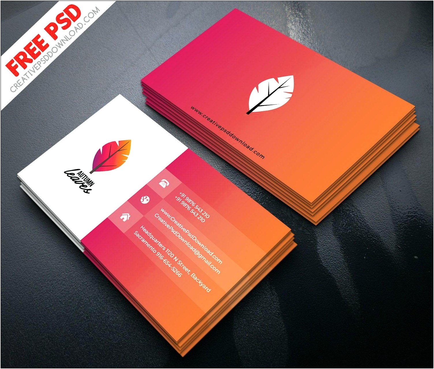 Name Card Design Template Free Download