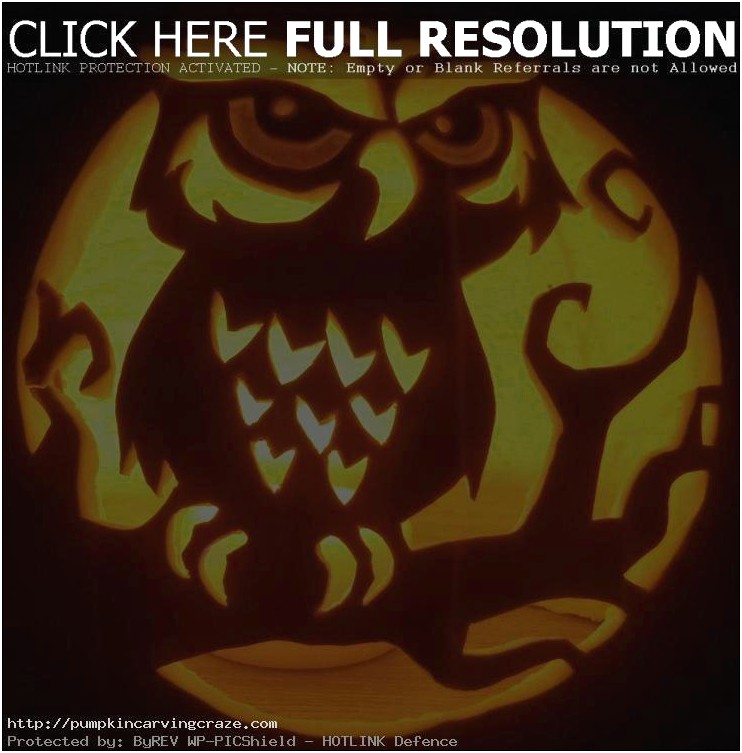 Owl Pumpkin Carving Templates Free Printable
