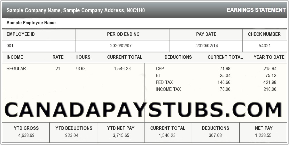 Printable Pay Stub Template Free Canada