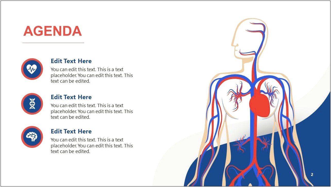 Respiratory System Powerpoint Templates Free Download