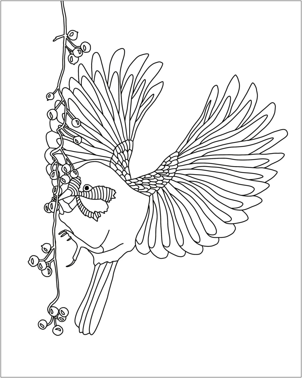 Royalty Free Coloring Book Free Templates Download