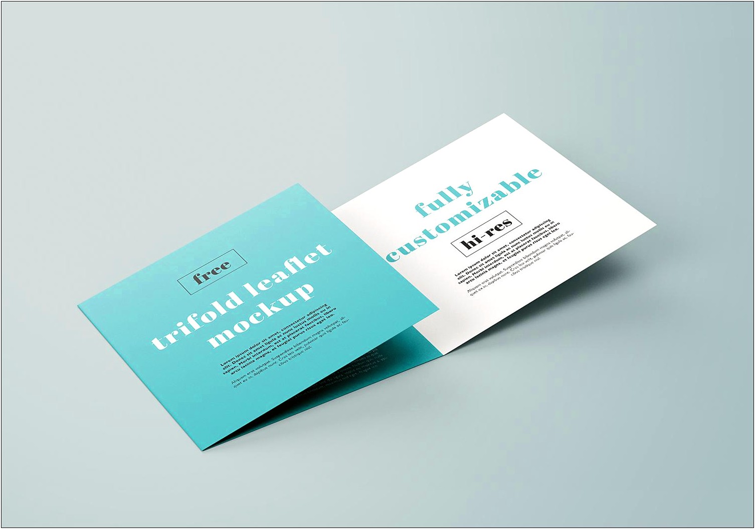Square Brochure Template Psd Free Download