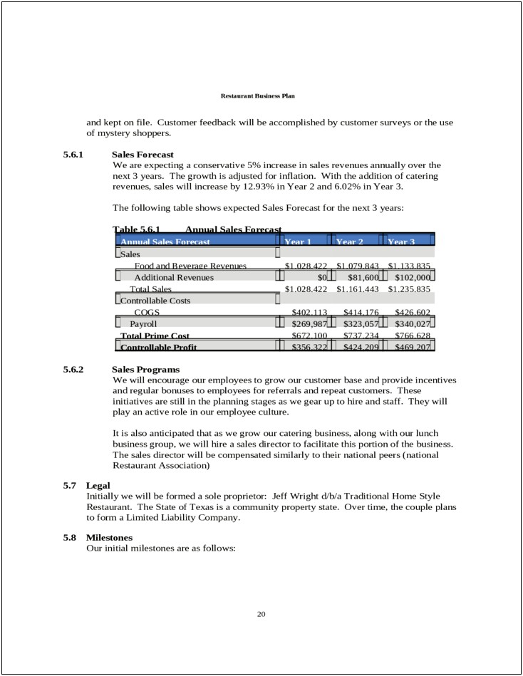 Staffing Agency Business Plan Template Free