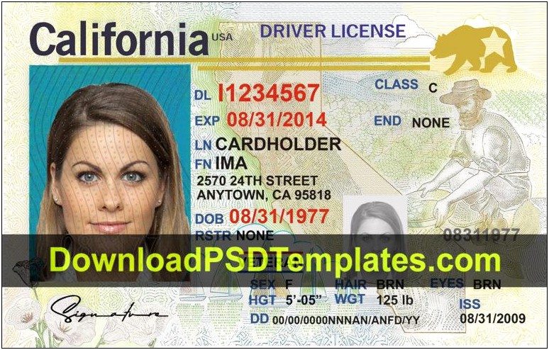 Texas Drivers License Template Psd Free