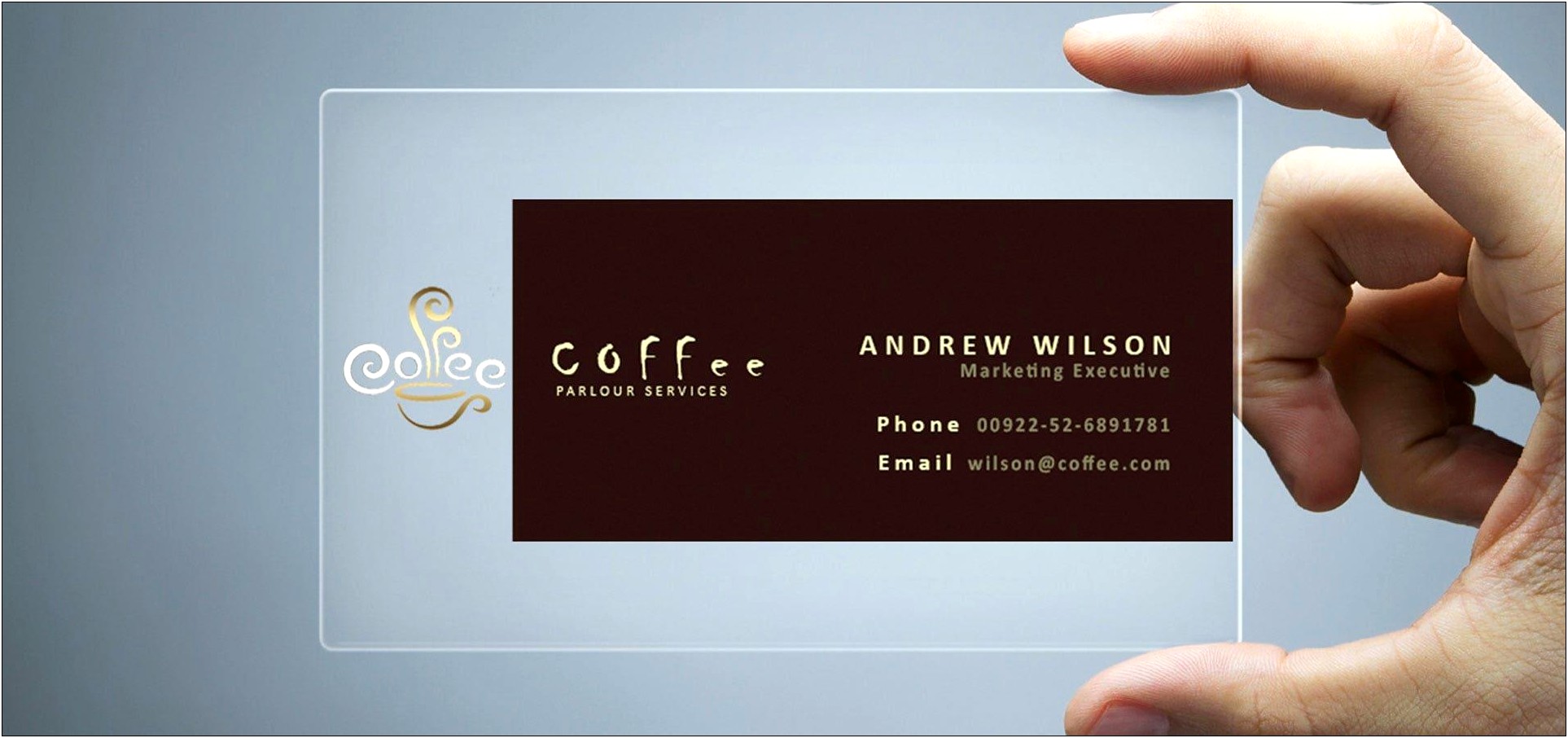 Transparent Business Card Template Free Download