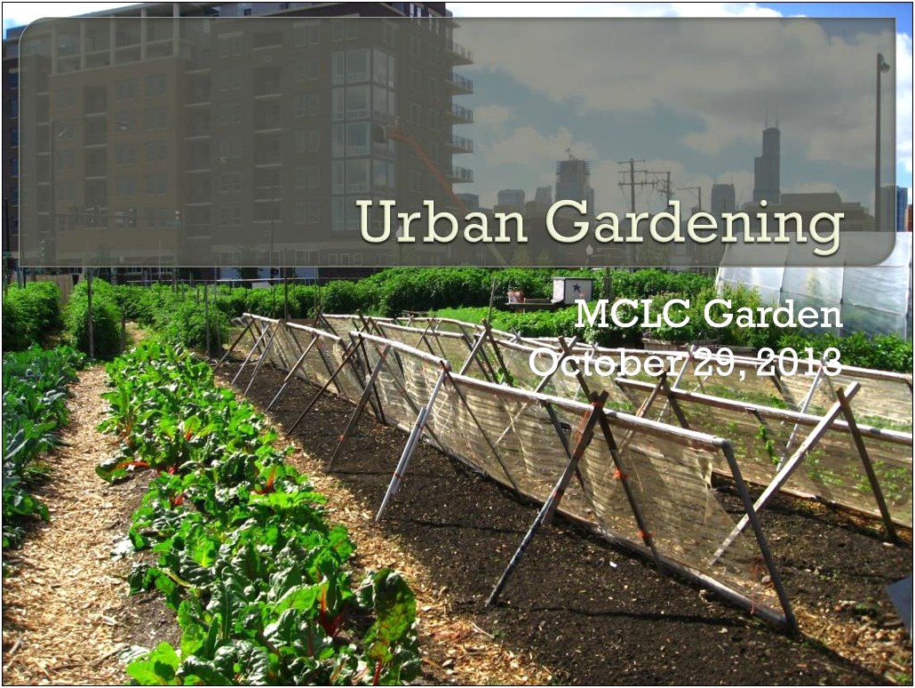 Vegetable Garden Powerpoint Templates Free Download
