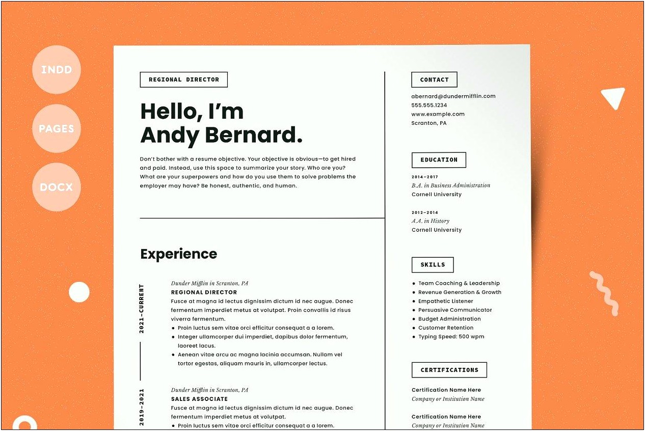 2019 Example Of Resume Executive Summary