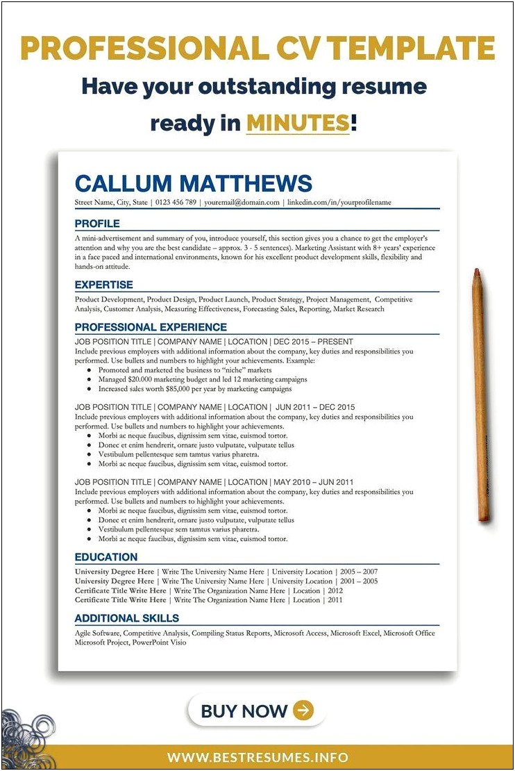 3 Years Experienced Hire Resume Template