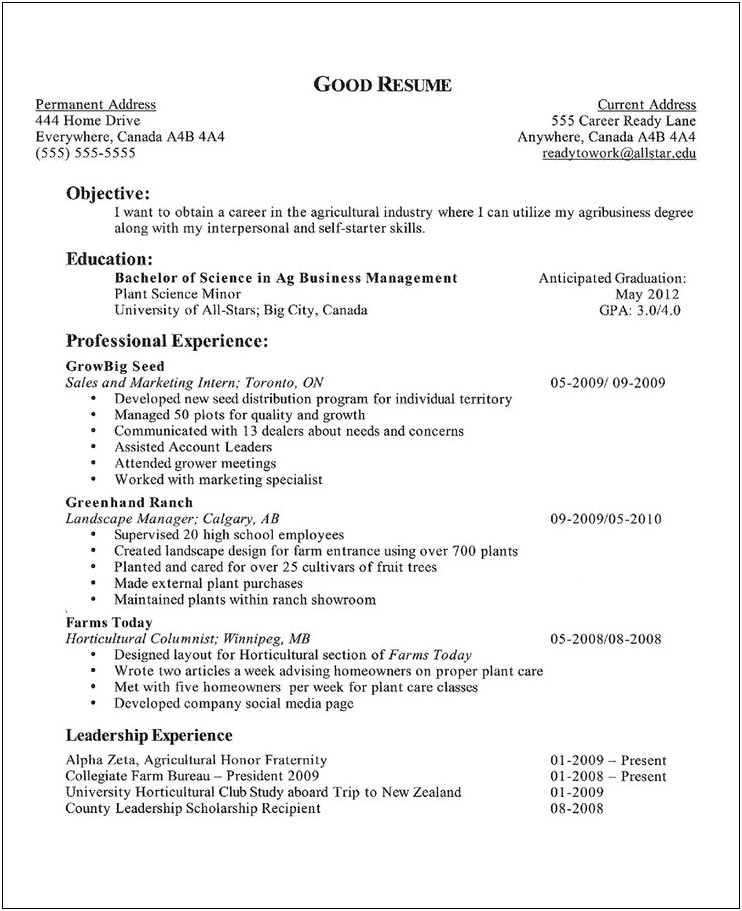 A Resume Objective For Any Job