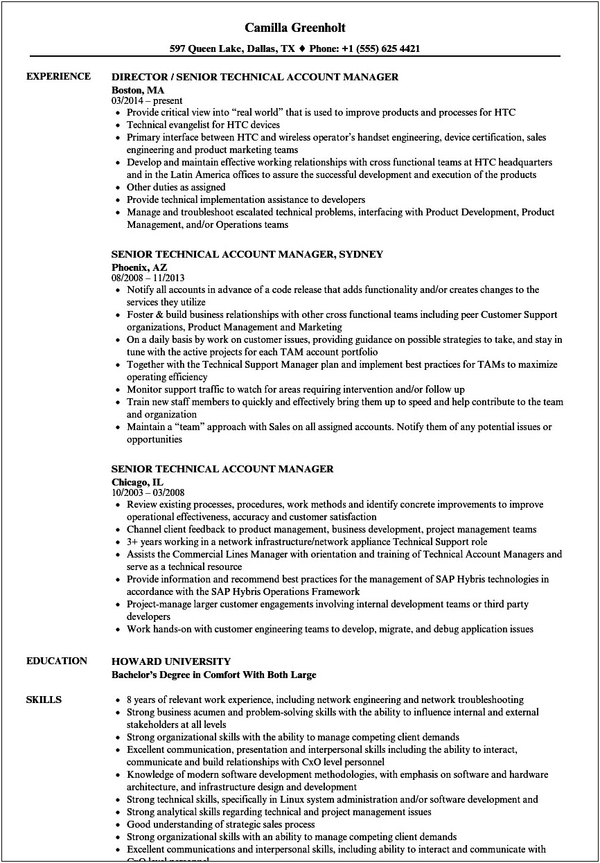 Account Manager In Technology Company Resume