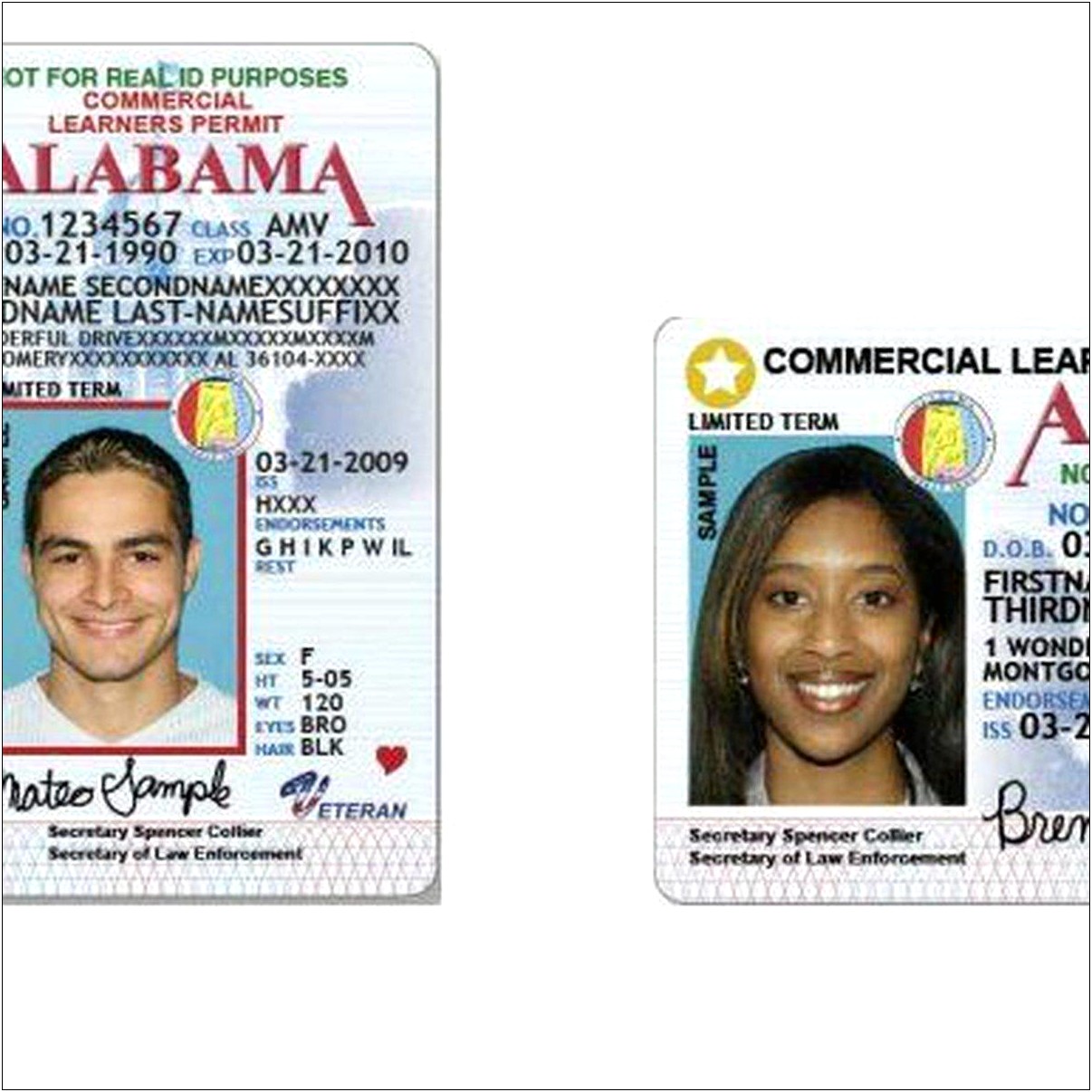 Alabama Drivers Licence Fake Id Template Download