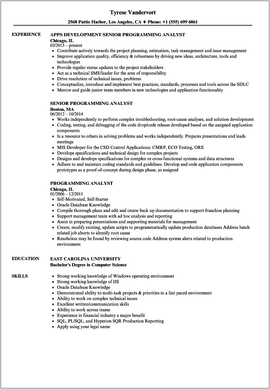 Application Analyst Resume Example In Beginners