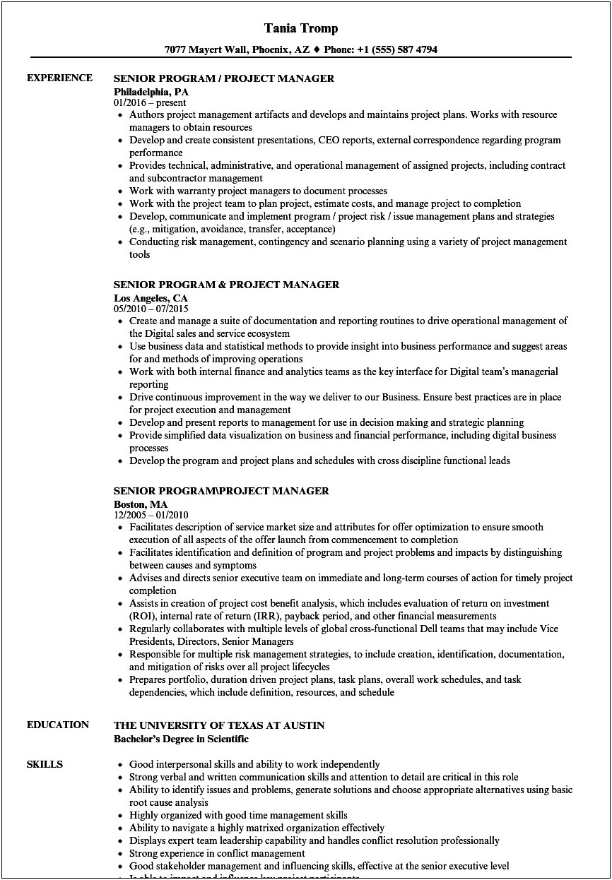 Application Development Project Manager Resume Sample