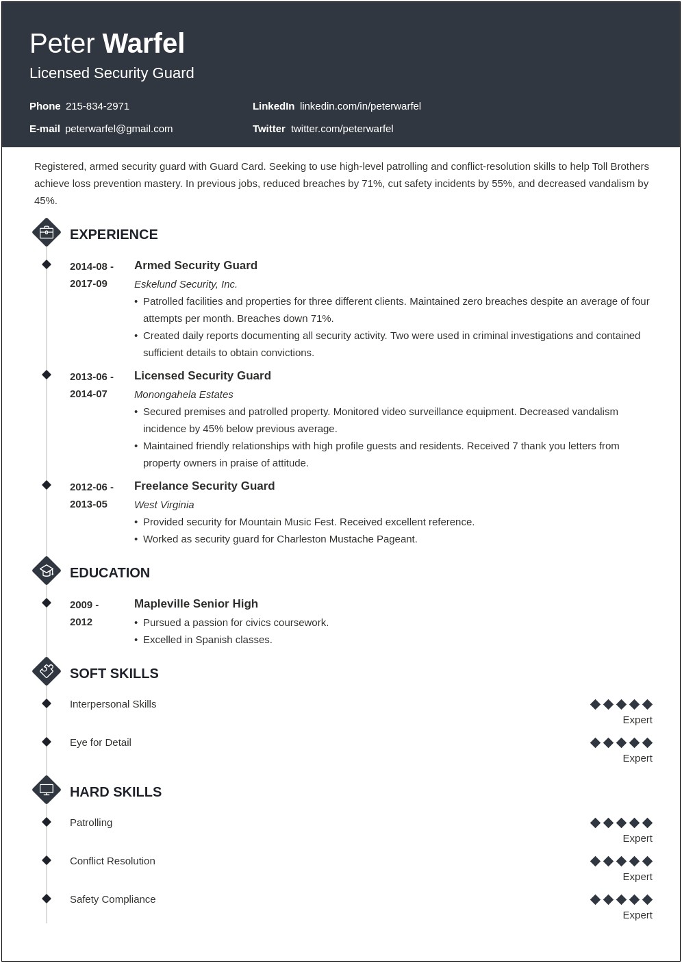 Armed Government Security Officer Resume Examples